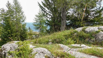 Obraz premium Wanderung zum Pendling