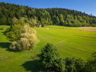 Mały domek w lesie © Rafal Kot