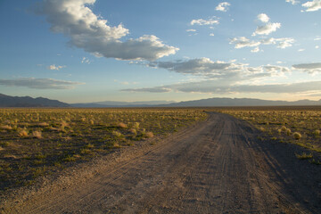 Fototapeta na wymiar Dirt Road Headed Off into the Desert near Tonopah Nevada
