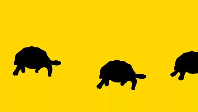 Walking turtles, animation on the yellow background (seamless loop)
