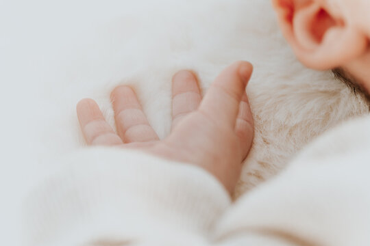 Neugeborenes | Hand