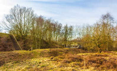 Beautiful natural forest moor and winter landscape panorama Germany.