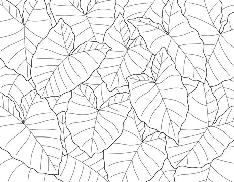 Tropical Leaf Pattern Vector Scalable Strokes Taro Elephant Ears Black and White Line Art Background
