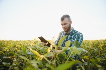 Young agronomist holds tablet touch pad computer in the soy field and examining crops before harvesting. Agribusiness concept. agricultural engineer standing in a soy field with a tablet in summer.