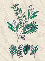 olive branches set