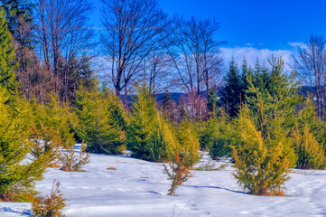 View over landscape covered with snow during sunny winter day.