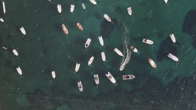 Aerial view of sailing and fishing boats docked in a small bay in Procchio near Marciana Marina, Elba Island, Italy.