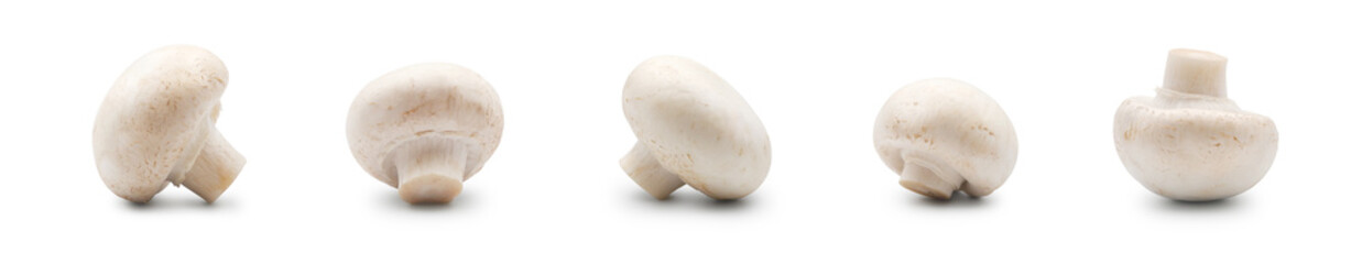 Fresh champignon mushrooms set isolated on white background side view	