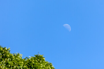 The waning moon in a blue sky. Nature.