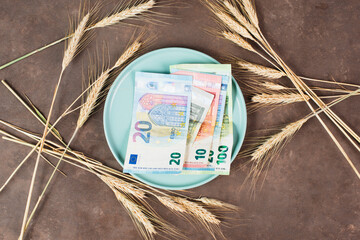 Plate with wheat and Euro banknotes, food shortage and increasing prices, poverty through inflation
