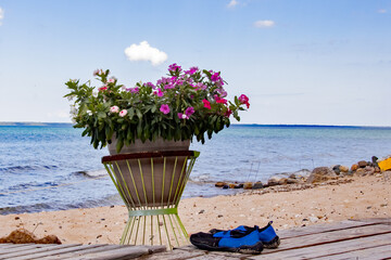 flowers on the beach