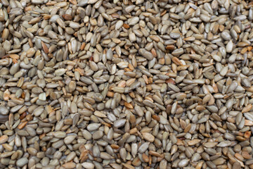 Close-up of fried sunflower seeds with salt. Cooking at home