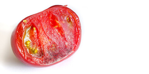 a piece of tomato covered with white and black mold on a white background