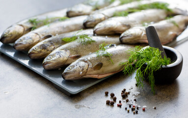 raw fish (trout) with herbs on a grey stone board