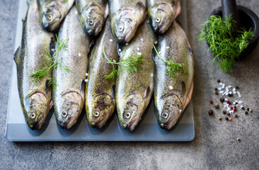 raw fish (trout) with herbs on a grey stone board