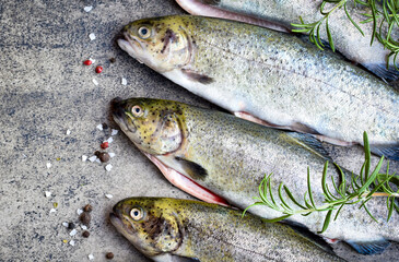 raw fish (trout) with herbs on a grey stone board