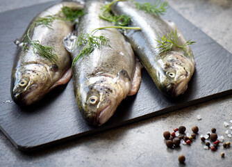 raw fish (trout) with herbs on a grey stone board