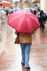 person with umbrella walking in the rain