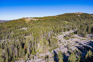 Woodlands in Sierra Nevada Mountain Range - 521307945