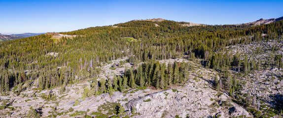 Forest and Granite Rocks on Mountain Summit - 521307946