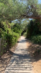 path to the beach
