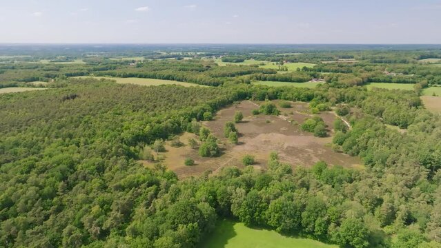 Aerial rotating view of nature reserve Vasser Heide with heather field and forest, Haarle, Twente, Overijssel, Netherlands.