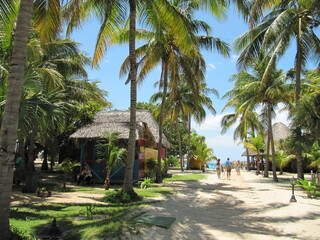 tropical resort beach