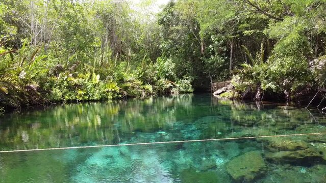 Beautiful landscape of green Tulum Riviera Maya Cenotes