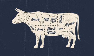 Cow, Beef meat chart. Butchery poster with beef meat cuts and paper craft texture. Vintage butcher meat diagram. Vector illustration