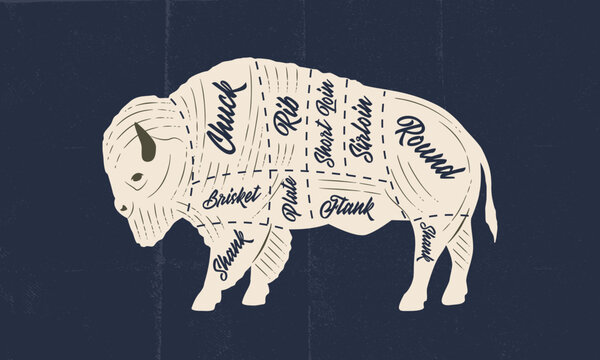 Bison, Buffalo meat chart. Butchery poster with bison meat cuts and paper craft texture. Vintage butcher meat diagram. Vector illustration