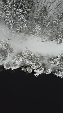 Vertical drone video of winter landscape taken in Sweden.