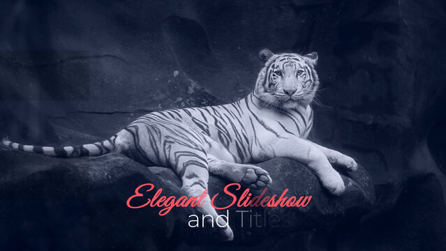 Elegant Titles and Transitions Slideshow