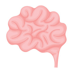 colored brain illustration