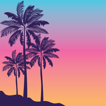 beach sunset illustration