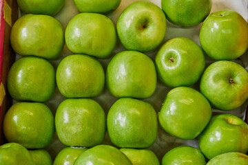 Green apples placed on a shelf for sale in a market