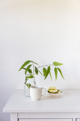 eucalyptus branch in a glass vase on a white table, a sliced green apple in a saucer against the background of the wall. Ready layout. Vertical frame. Space for text