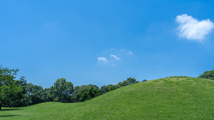 夏の木々と青空・日本の自然