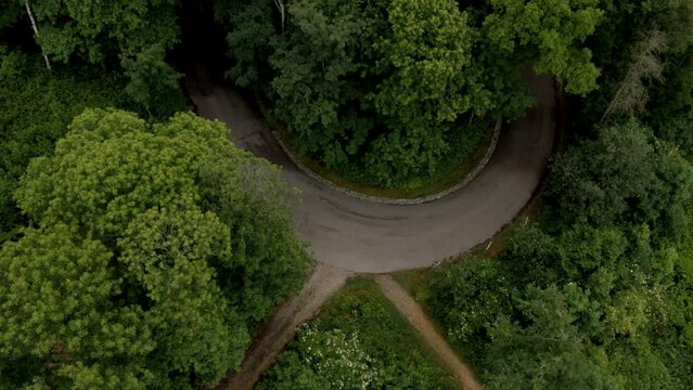 Aerial view of the Ford Mustang in the forest in Limburg, the Netherlands.