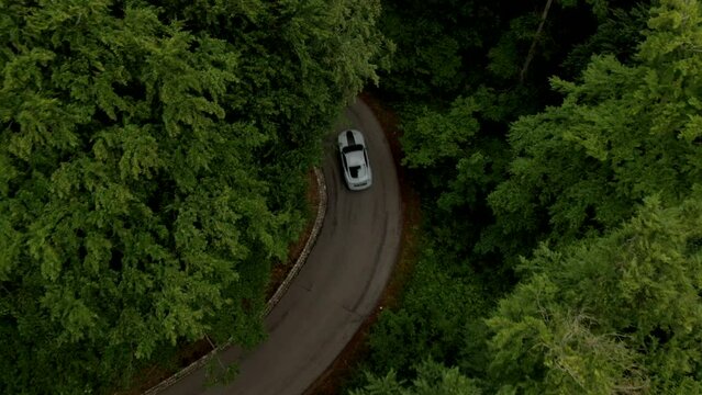 Aerial view of the Ford Mustang in the forest in Limburg, the Netherlands.