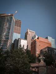 city skyline on the river