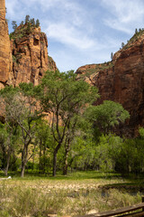 Zion canyons mesa and plateau