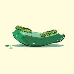 Caterpillars eat cucumber vector illustration isolated on white 