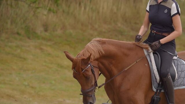 Female Horseback Riding On Chestnut Brown Horse In Slow Motion. Closeup