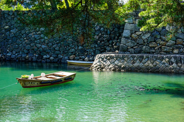 たくさんの真鯛が泳ぐ高松城のお堀（香川県高松市玉藻公園）　