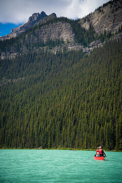 Montana Mountain Field Pretty Scenery 