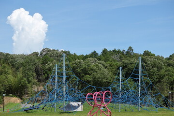 真夏の公園の風景