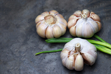 garlic with tree on kitchen