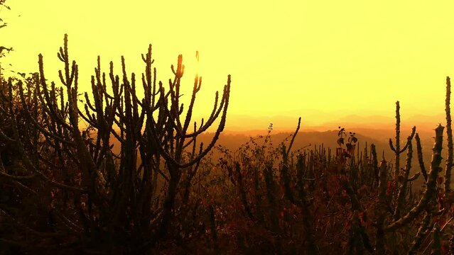 Aerial view of beautiful Bahubali hills in Udaipur