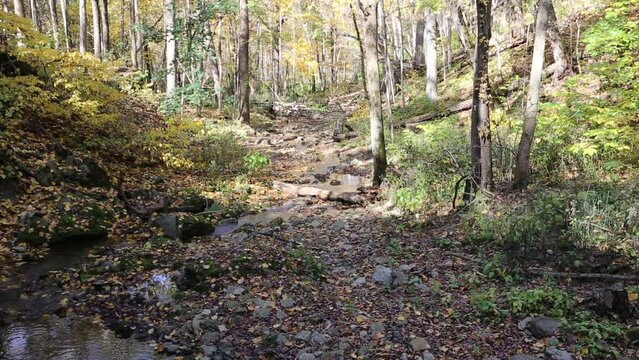 Autumn scenery in Glen Helen Nature Preserve, Oho