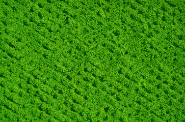 Sand and mud wall texture background. Home decor design using natural materials.